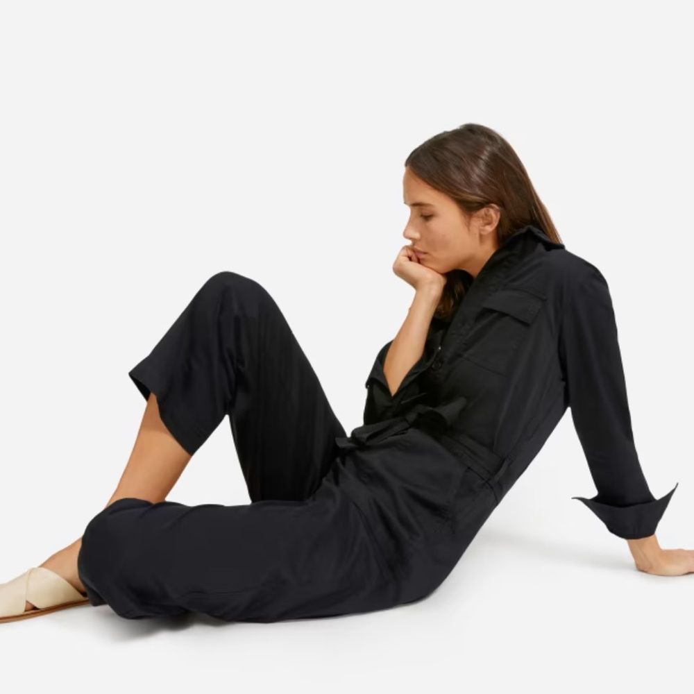 Everlane black jumpsuit size 2